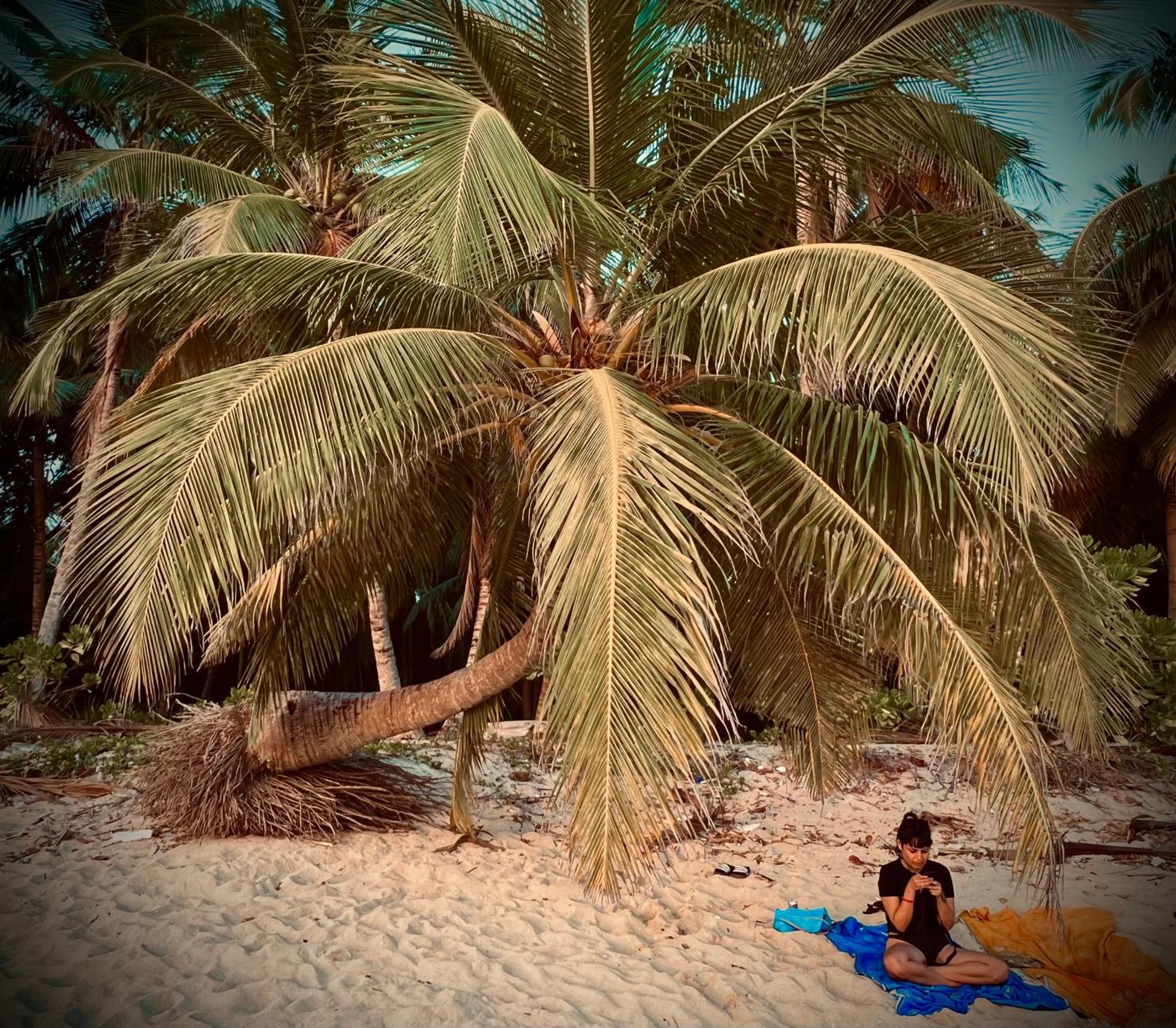 Blue Sea Restaurant & Bungalows Sitapur Exterior foto